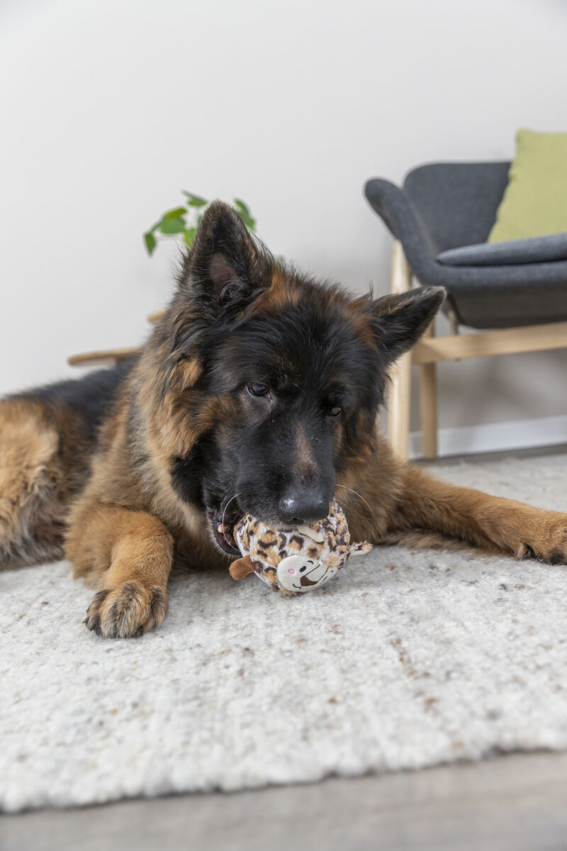 Ball Leopard, Plüsch/Gummi