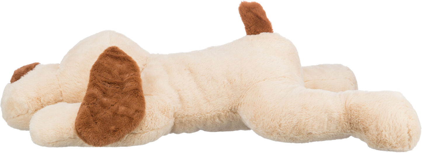 Ankuschelhund Benny