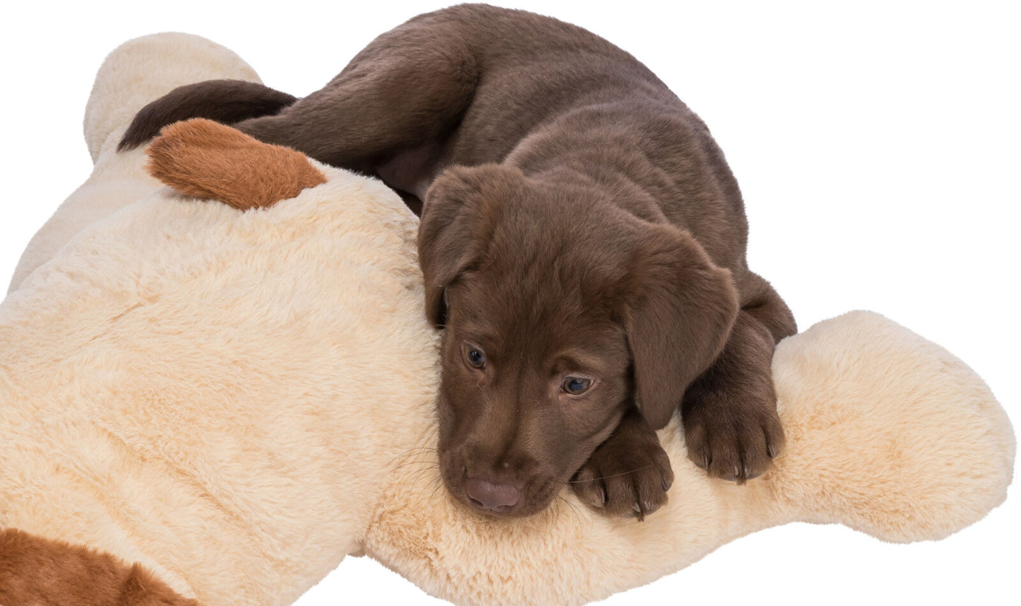 Ankuschelhund Benny