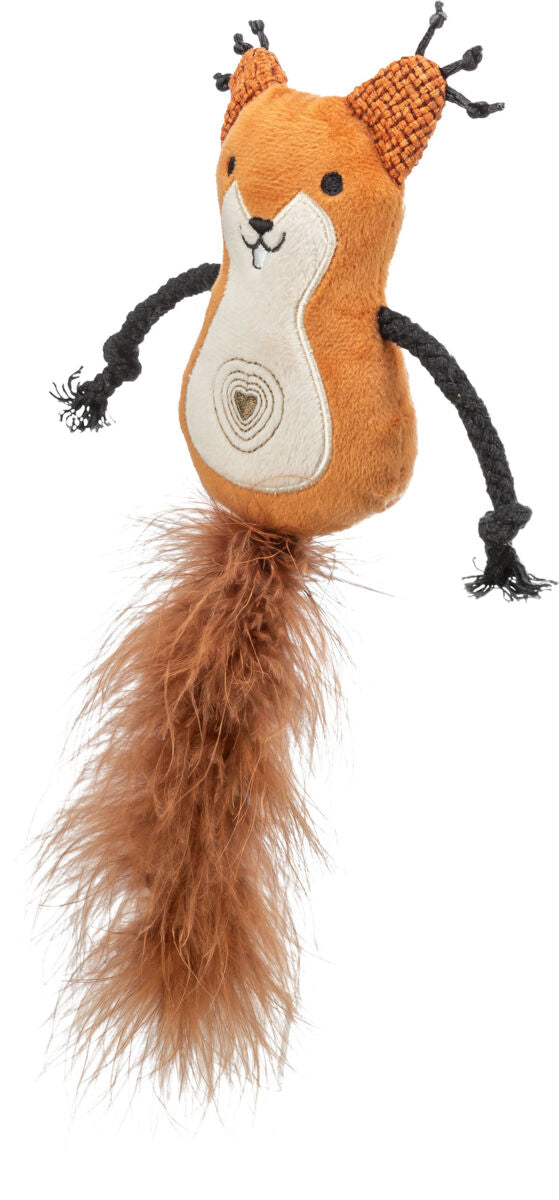 Eichhörnchen