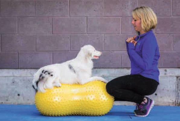 FitPAWS® Peanut + TRAX Peanut