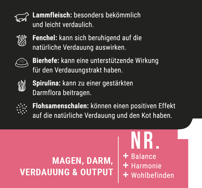 Bauchpinsler