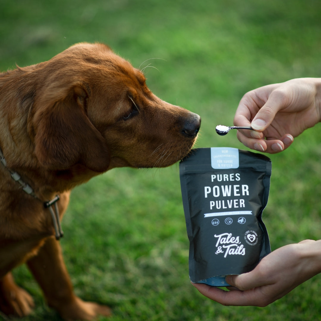 Pures Power Pulver