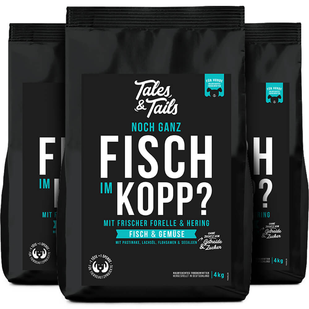 Noch ganz Fisch im Kopp?