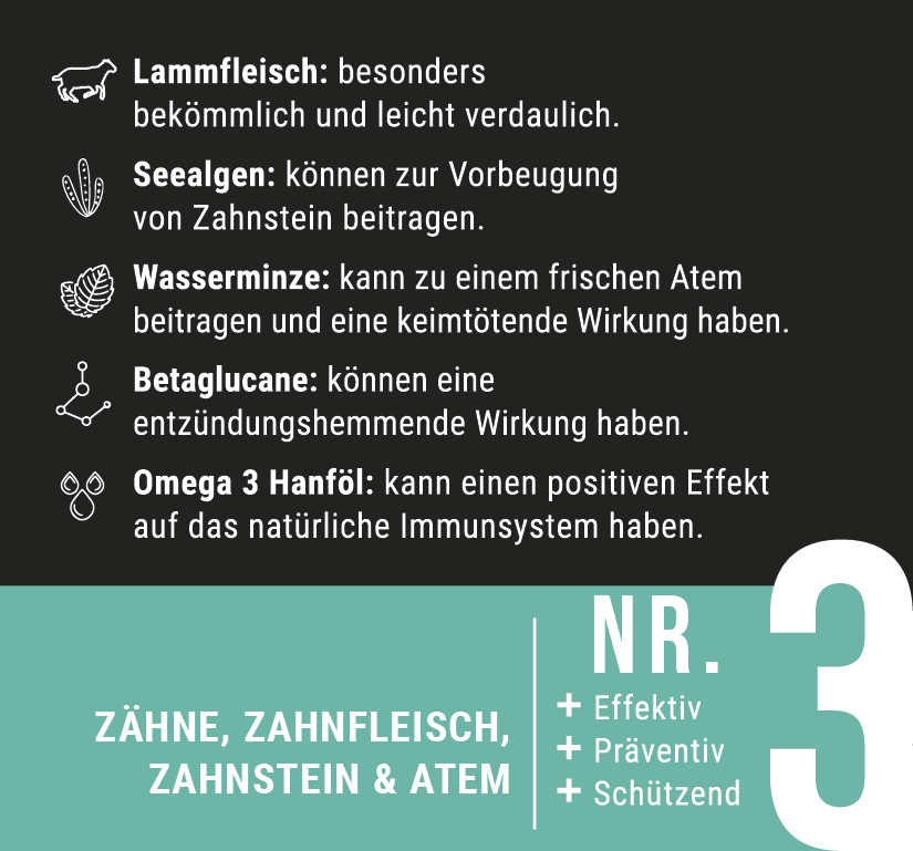 In Zähne setzen