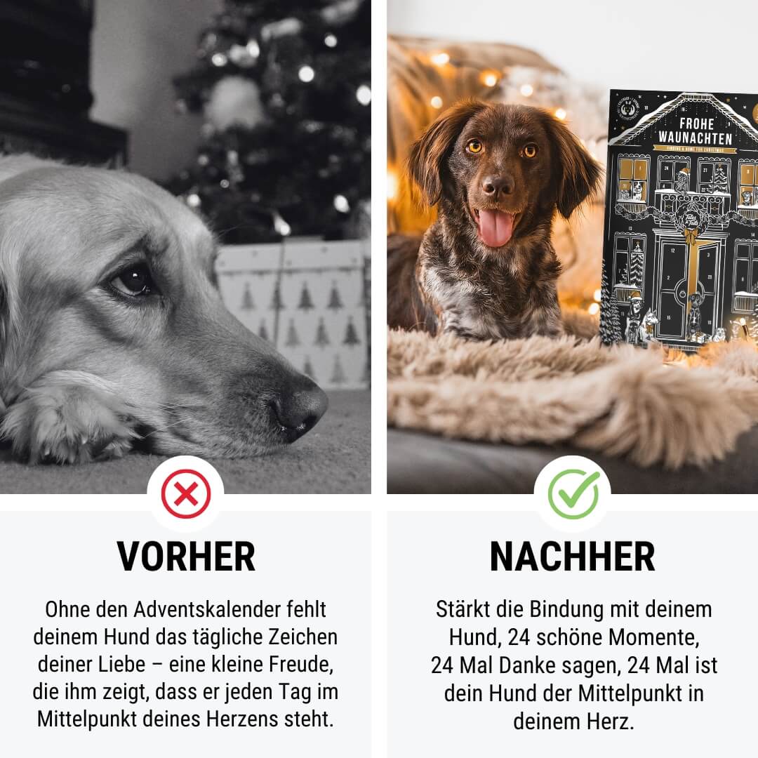 Frohe Waunachten - Adventskalender für Hunde