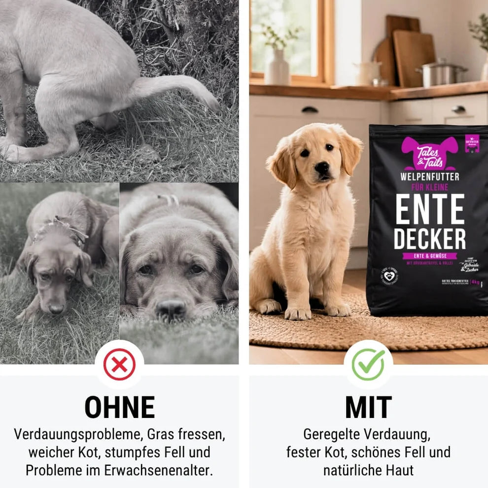 Für kleine EnteDecker - Welpenfutter mit Ente