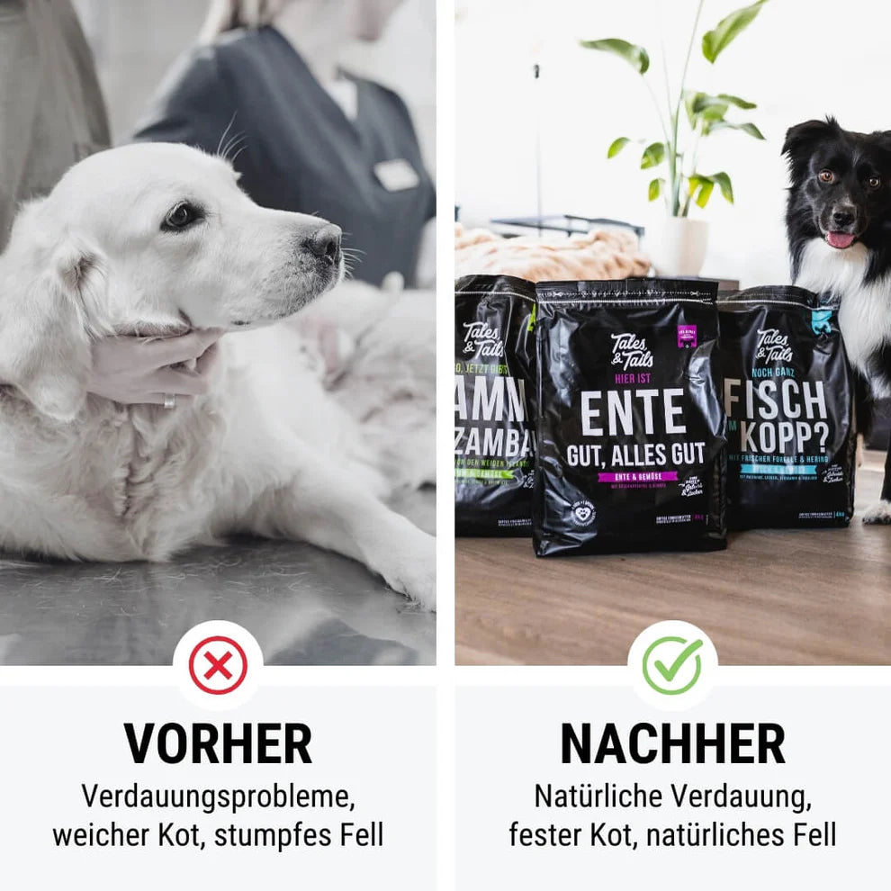 Dreier Paket Trockenfutter 4kg