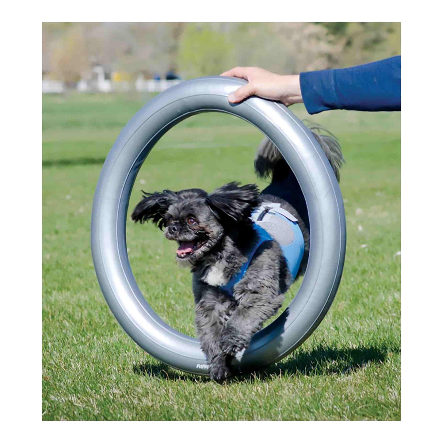 FitPAWS® Donut Holder