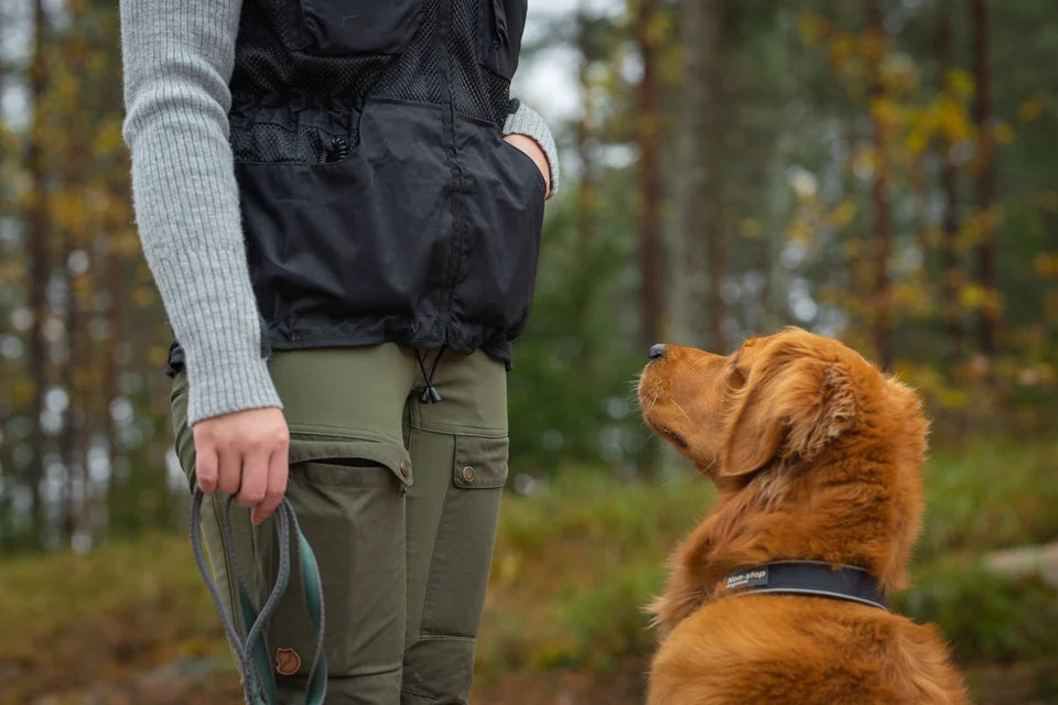 Hundetrainingsweste - Dog training vest - Non-stop Dogwear