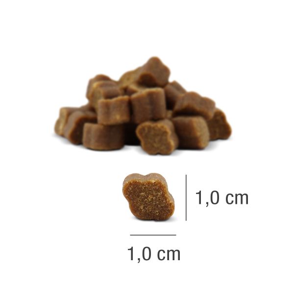 Fit-Bits Protect gegen Zecken und Flöhe