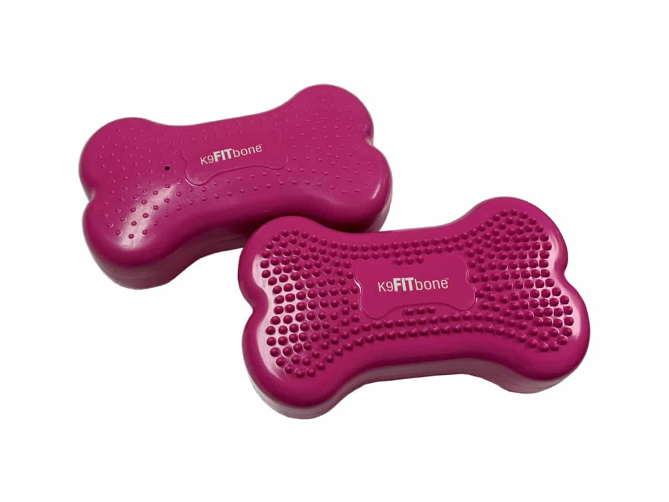 FitPAWS® K9FITbone