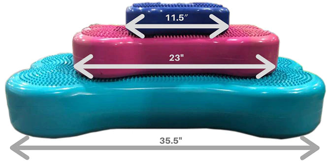 FitPAWS® K9FITbone