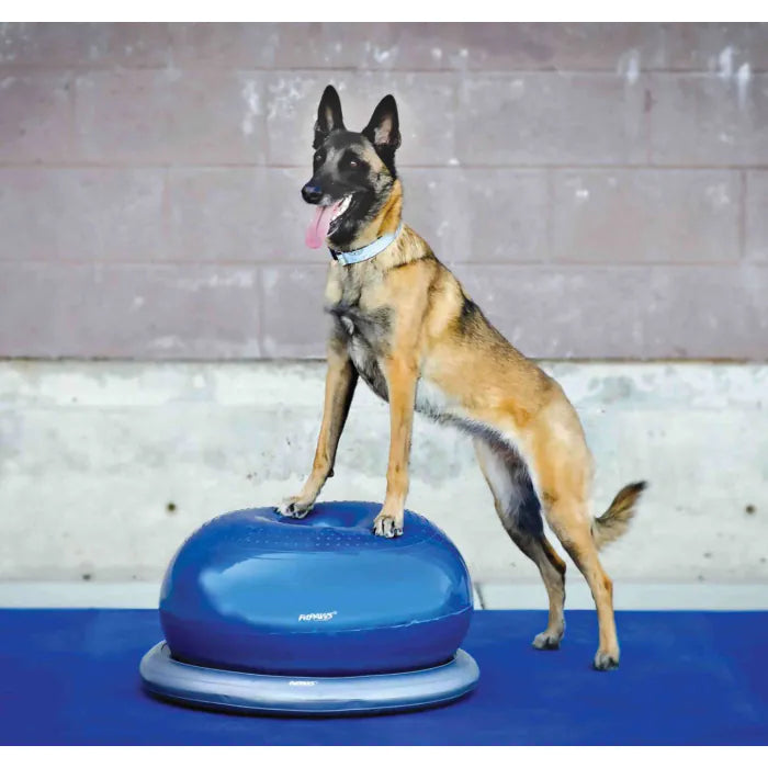FitPAWS® Donut