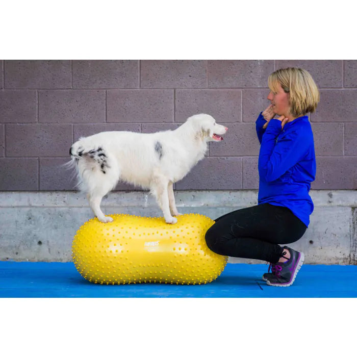 FitPAWS® Peanut + TRAX Peanut