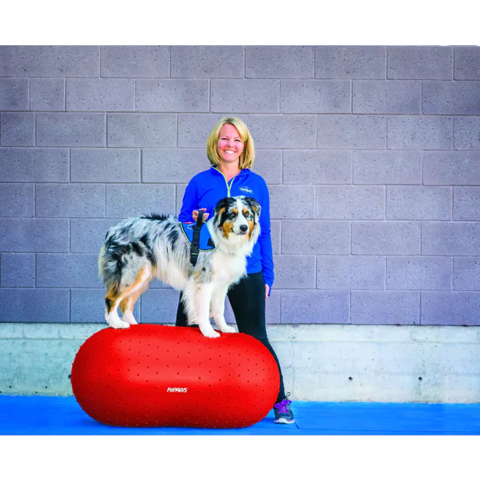 FitPAWS® Peanut + TRAX Peanut