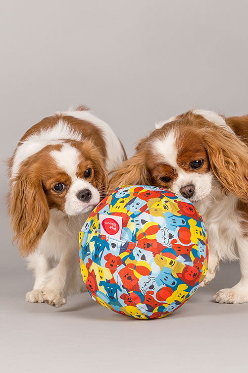 PetBloon Spielballon für Hunde