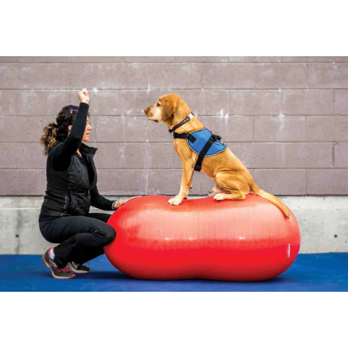 FitPAWS® Peanut + TRAX Peanut