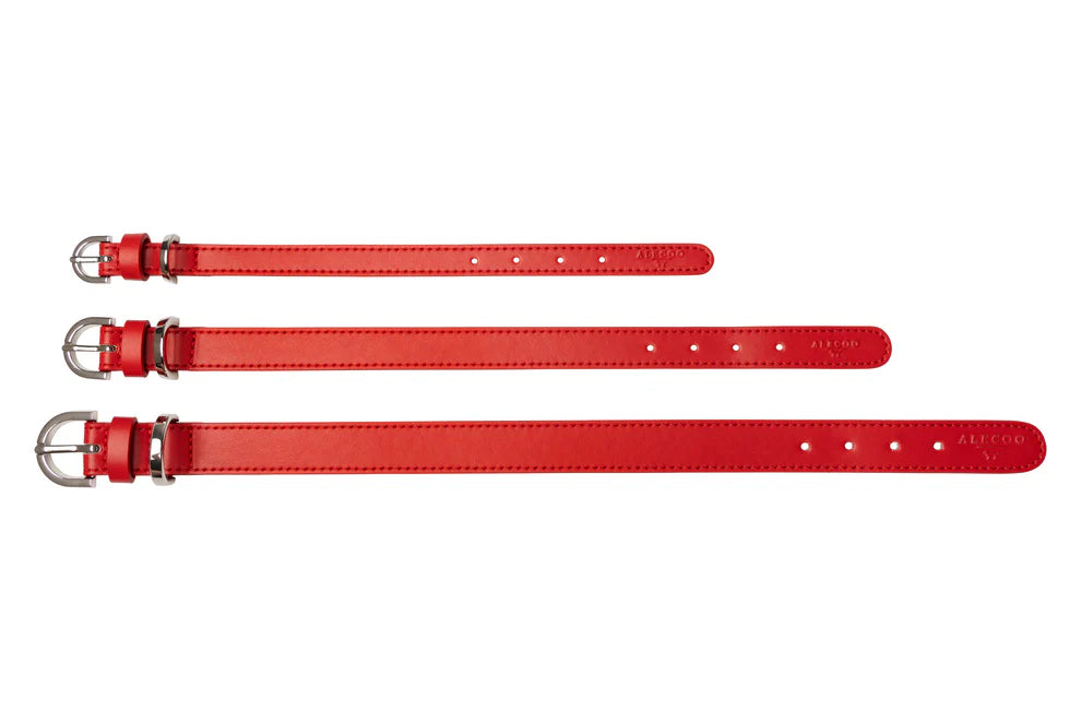Hundehalsband Classy sunset rot - silver