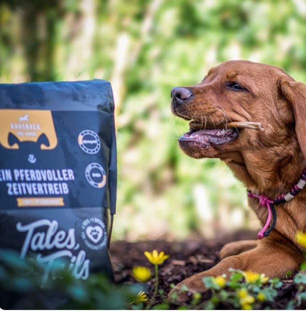 Ein PferdVoller Zeitvertreib