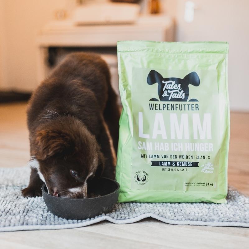 LammSam hab ich Hunger