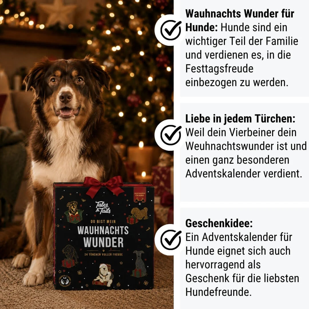 Adventskalender - Wauhnachts-Wunder