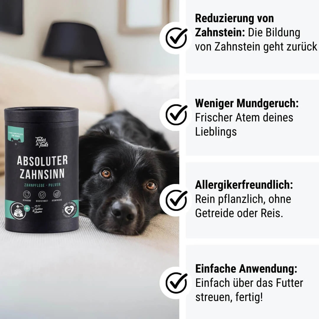 Absoluter ZahnSinn