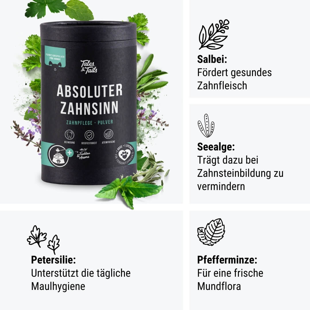Absoluter ZahnSinn