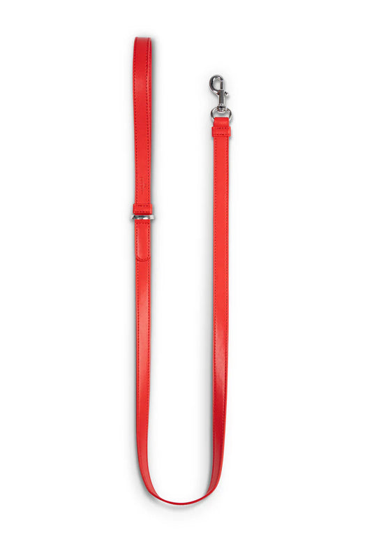 Hundeleine Classy sunset rot - silver