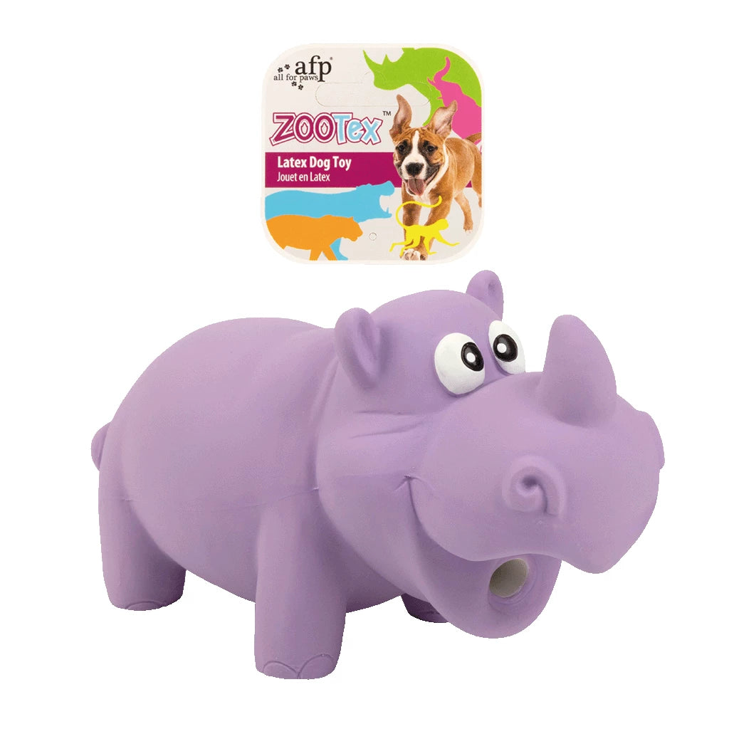 AFP ZooTex Reginald the Rhino
