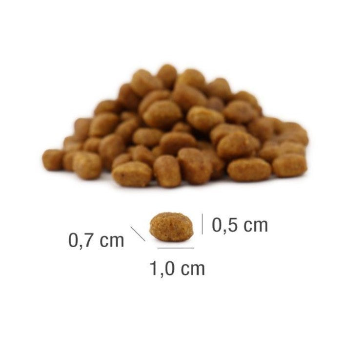 MeatCrisp Adult Fish