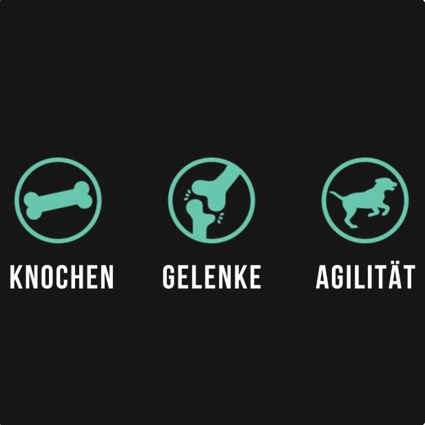Alles im grünen Bereich