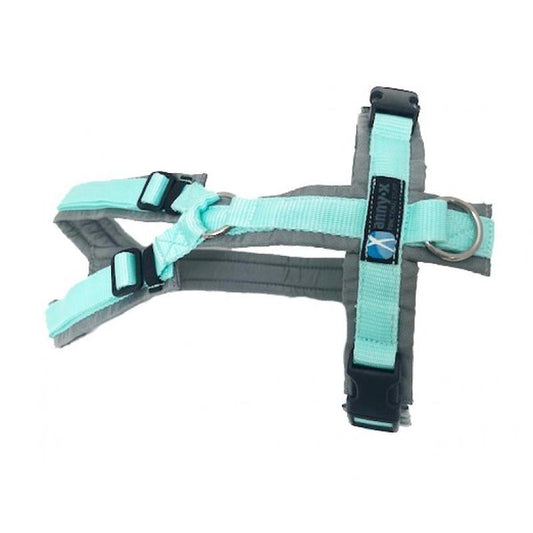 anny-x Brustgeschirr Fun grau/ mint