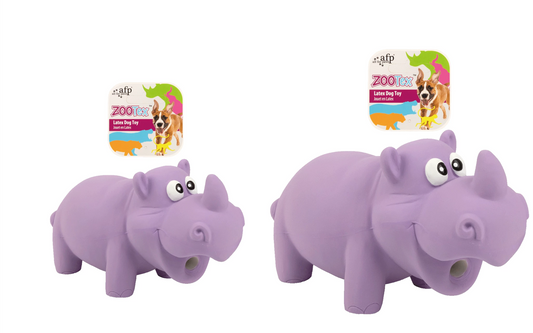 AFP ZooTex Reginald the Rhino