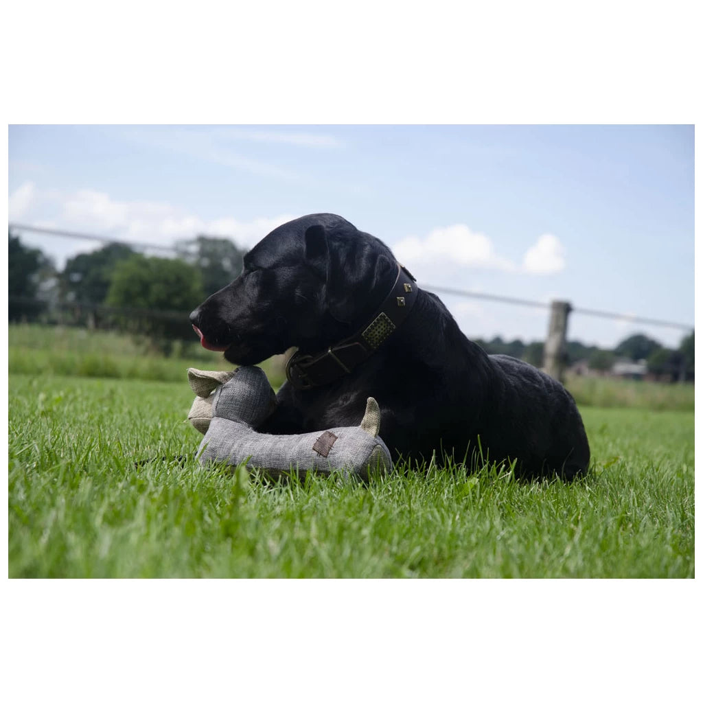 Country Dog Original Long