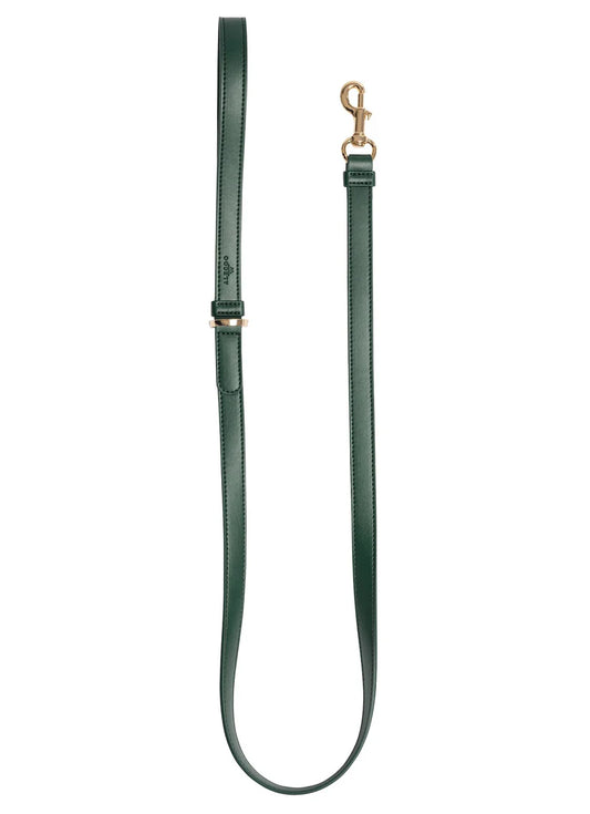Hundeleine Classy dark green - gold
