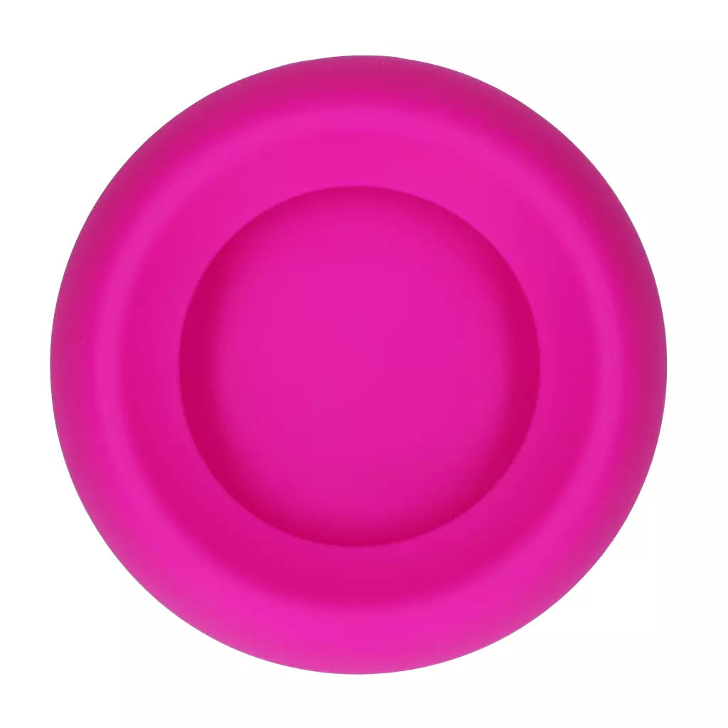 Excellent Pets No-Spill Bowl 300ml S