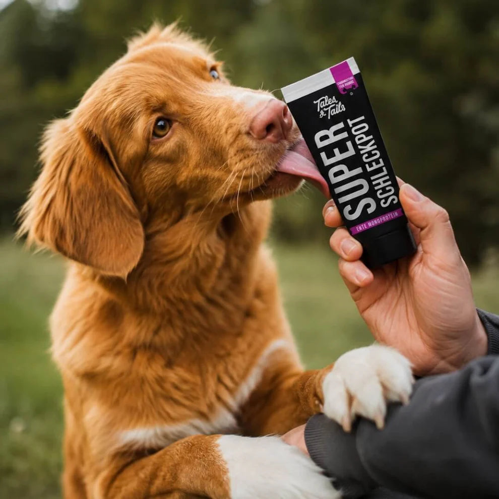 Super Schleckpot - Futtertube für Hunde mit Ente
