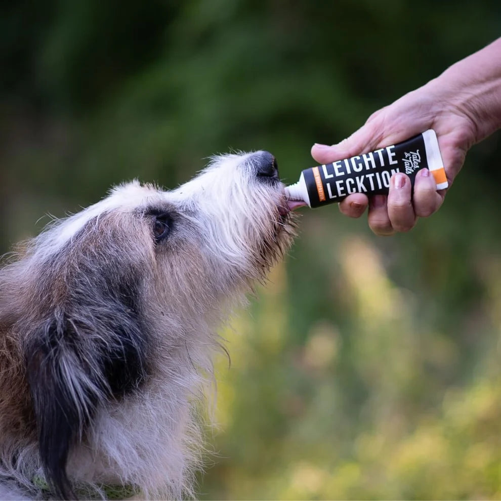 Leichte LeckTion - Futtertube für Hunde mit Pferd