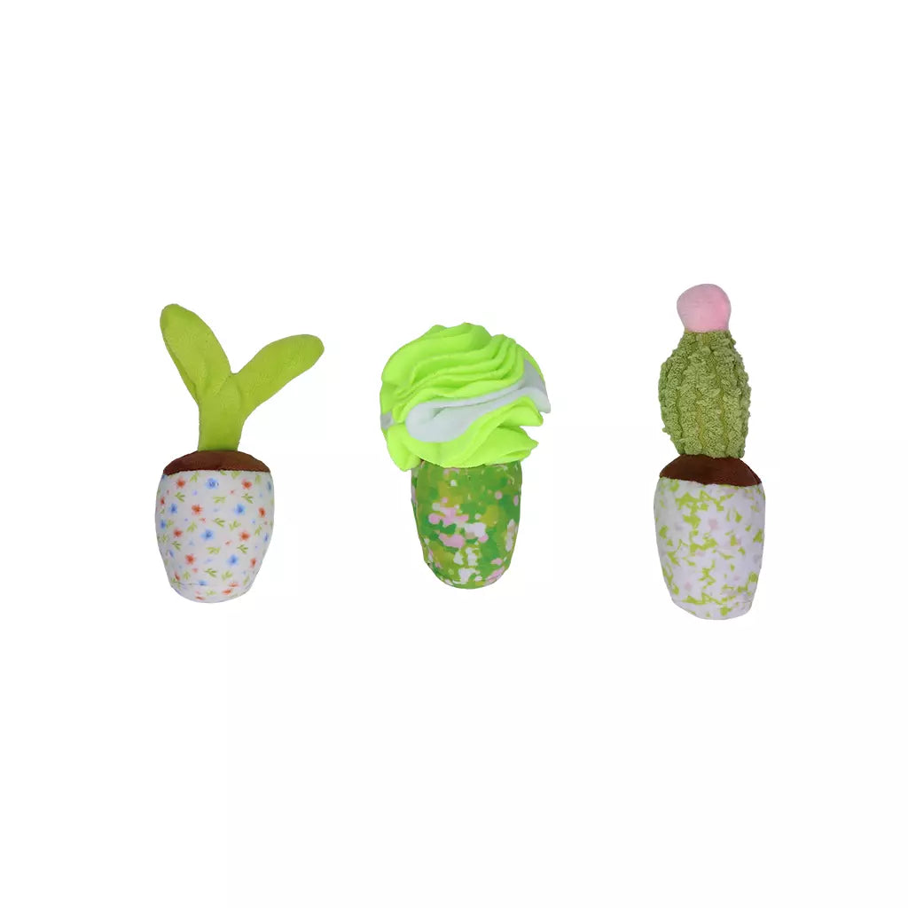 Garden Paws Snuffle Box Sprossen, Getreide & Kakteen