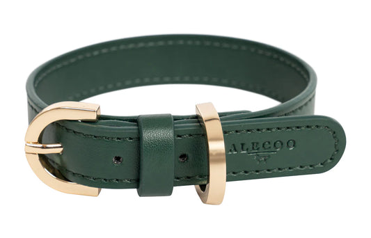 Hundehalsband Classy dark green - gold