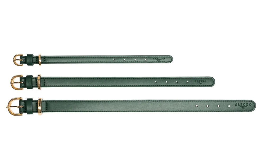Hundehalsband Classy dark green - gold