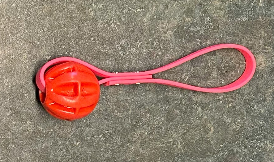 Baxter Ball Mini mit Handgriff