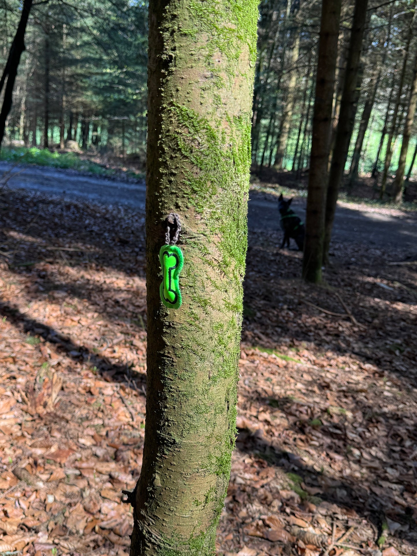 Personalisierte Sucherlibeutel mit 5 Sucherli