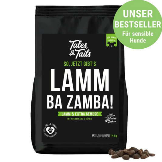 LammBa Zamba!