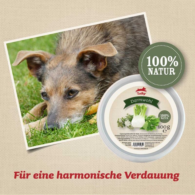 Leiky Darmwohl Pulver - 100g