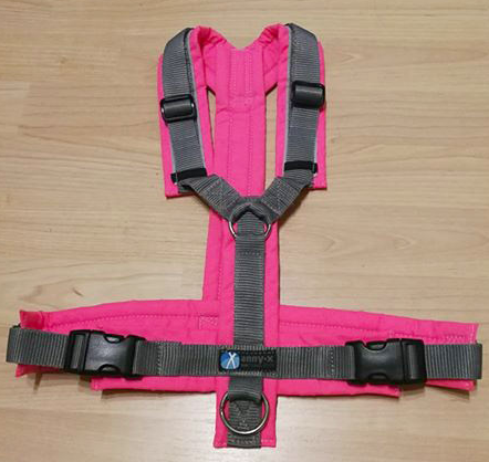 anny-x Brustgeschirr Protect leuchtpink/grau