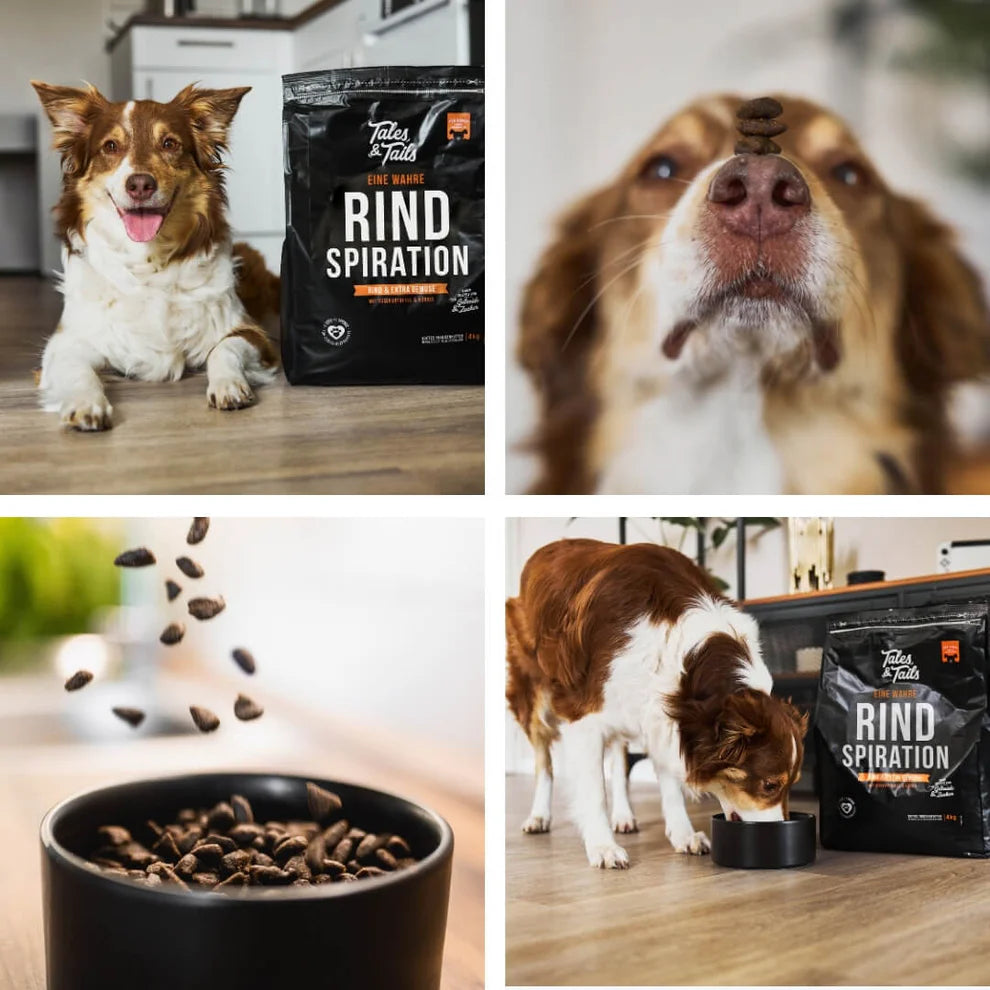 Eine wahre Rindspiration