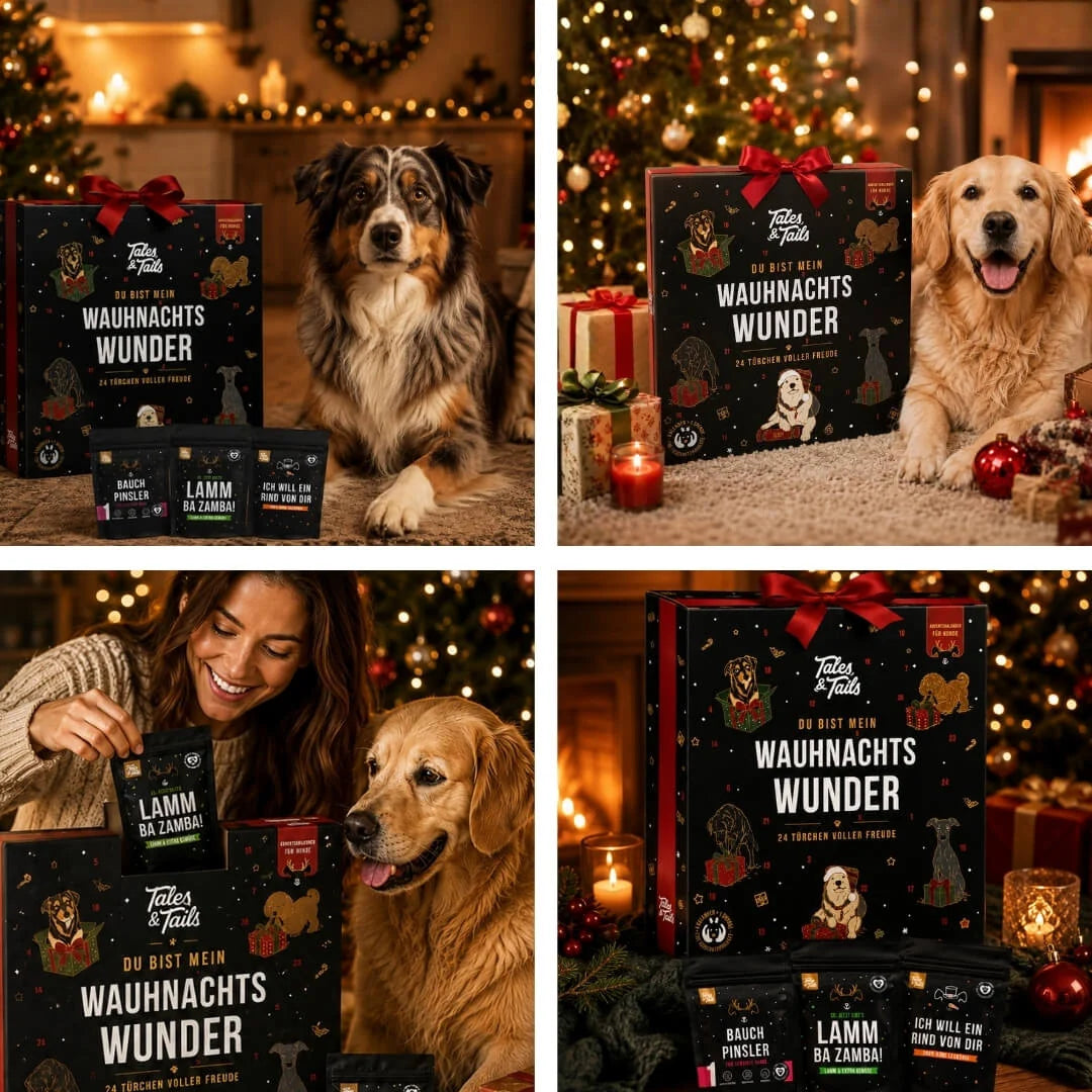 Adventskalender - Wauhnachts-Wunder