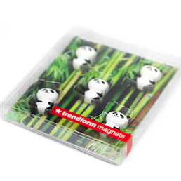 Panda-Magnete